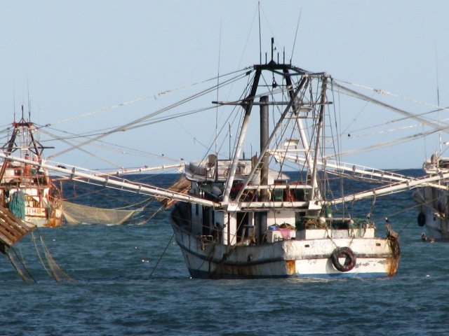 A typical shrimp boat anchored in our lagoon at Campo Uno in San Felipe