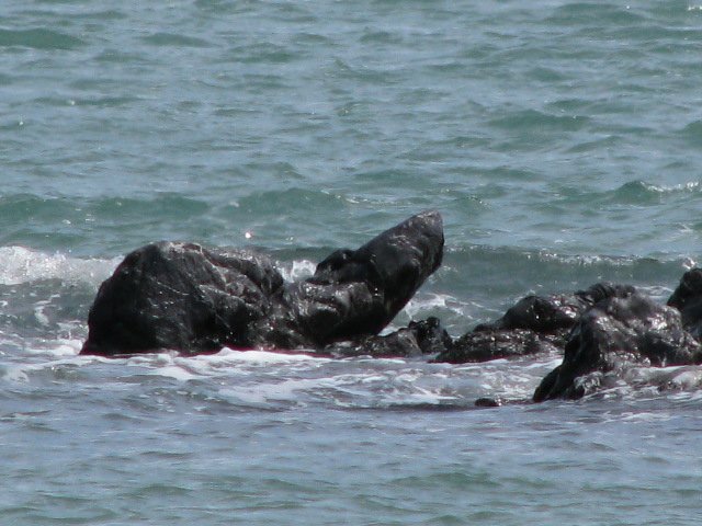 Seal Rock at high tide outside our villa en la playa at Campo Uno
