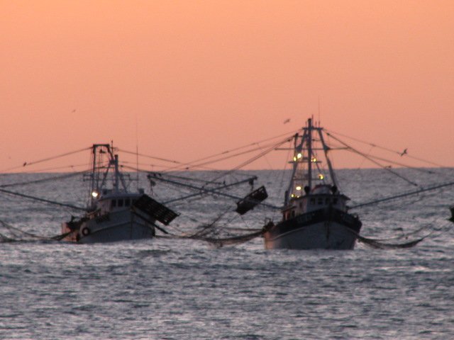 Shrimp boats anchored at Campo Uno...Zoomed in and out.
