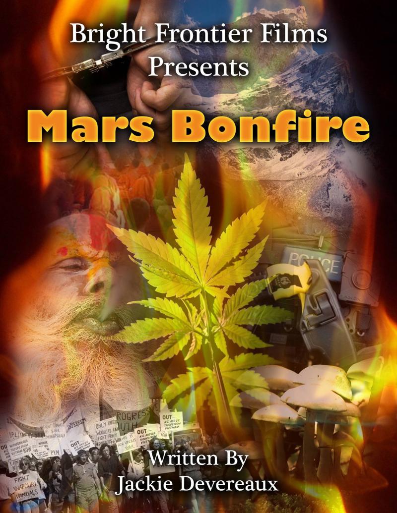 Mars Bonfire, the book, the film and the TV show