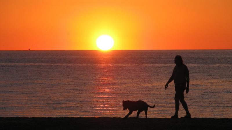 Tom walking our dog Zorro at sunrise in Campo Uno, San Felipe, Mexico